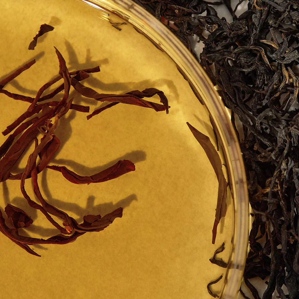 Toner Équilibrant au Kombucha